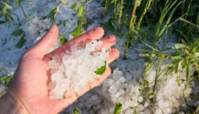 REPORT IVASS 2025 SUI RISCHI DA CATASTROFI NATURALI E OBBLIGO ASSICURATIVO CAT NAT